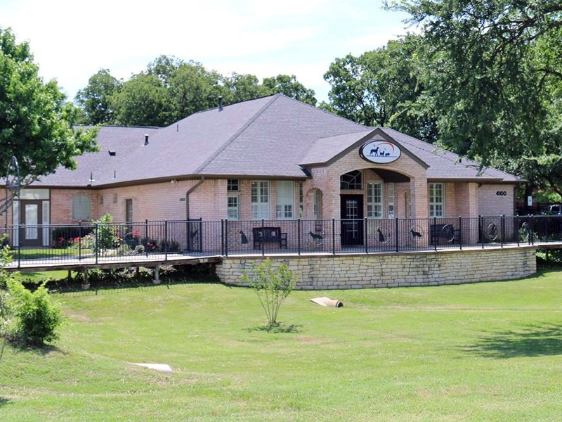 Main Street Veterinary Hospital in Flower Mound, TX