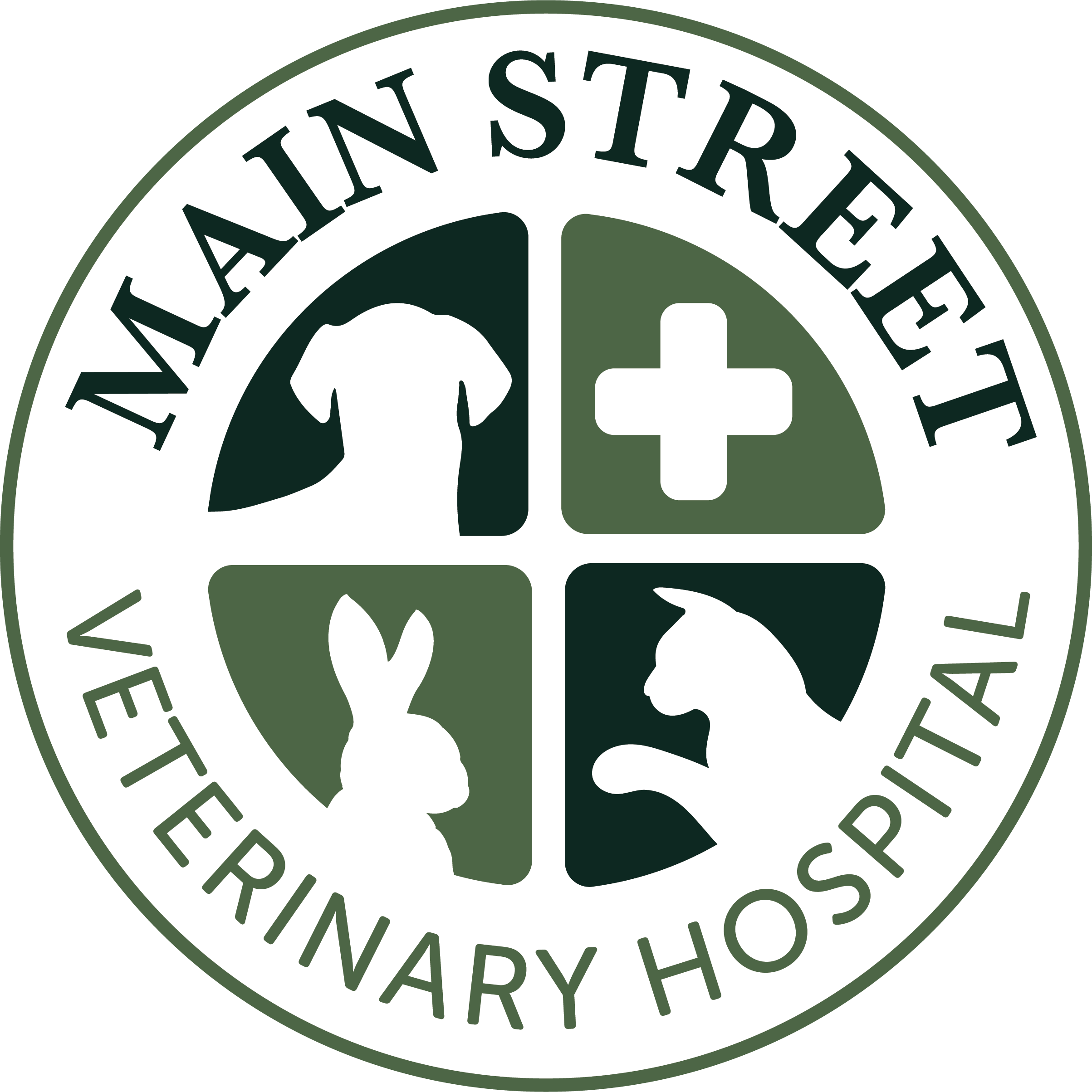 Main Street Veterinary Hospital header logo