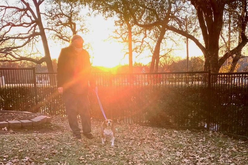 Dog & Cat Boarding in Flower Mound, TX